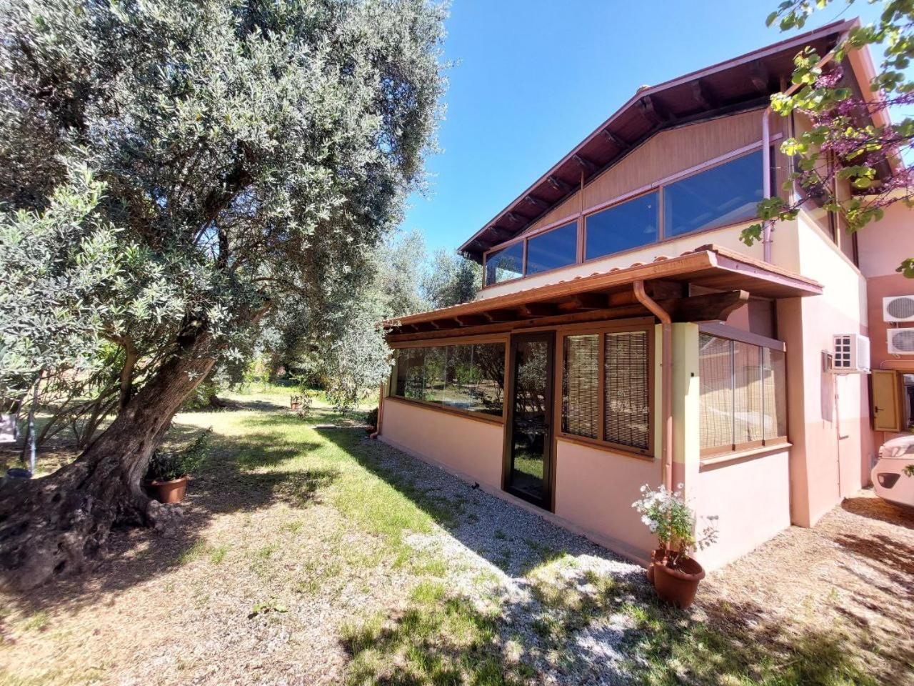 Casa L' Antico Ulivo Apartment Iglesias Exterior photo